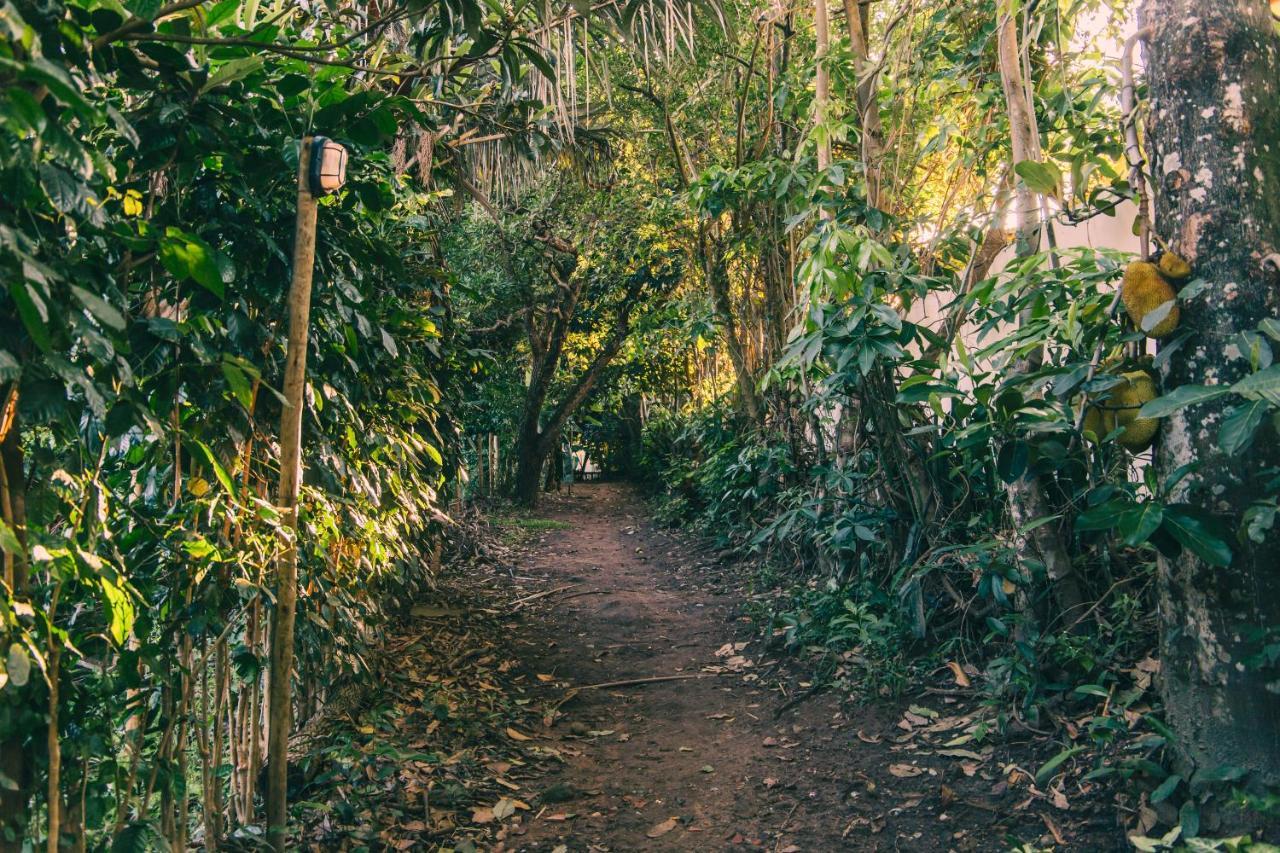 Recanto Pitanga Casa de Férias *